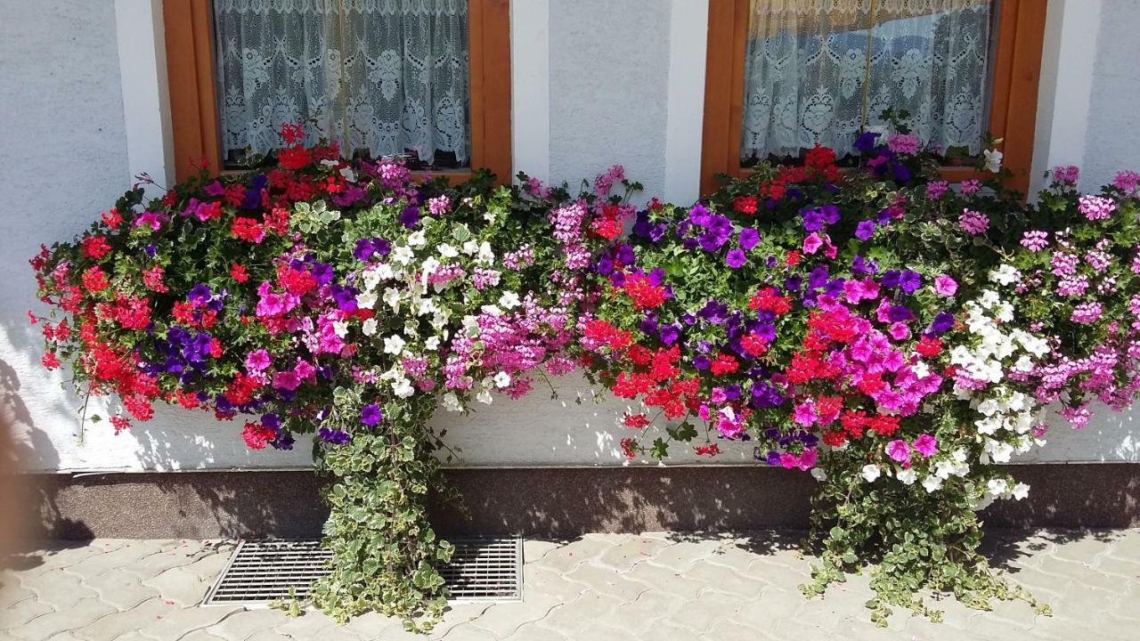 Haus Edlinger Inclusive Murau Sommer Gaeste Card Sankt Georgen ob Murau Exterior foto